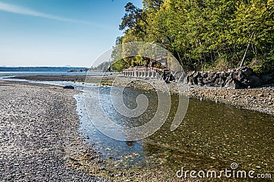 Coastal Stream Stock Photo