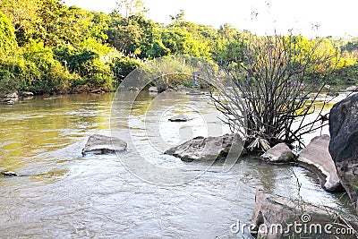 Stream in Forest Thailand Stock Photo