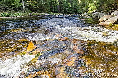 Stream going through the Sumava national park near Srni Stock Photo