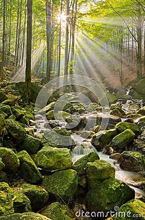 Stream in Jizera mountains, Czech Republic Stock Photo