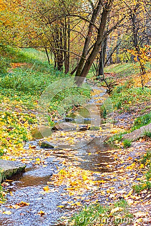 The stream in the Kolomenskoe park in the autumn Stock Photo