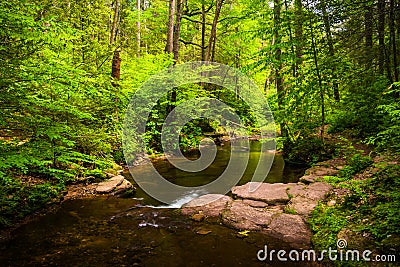 A stream in a lush forest at Ricketts Glen State Park, Pennsylvania. Stock Photo