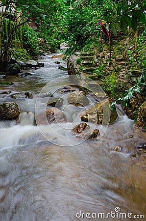 Stream at Mae Kampong, Chiang Mai, Thailand Stock Photo