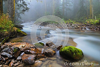 River in a mountain picturesque forest and fog in the background Stock Photo