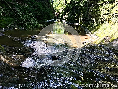 Stream at Pewitts Nest Stock Photo