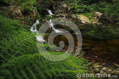 Stream pool in Giant mountains Stock Photo