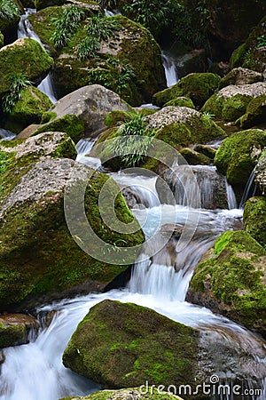 A stream of Qingcheng mountain in Chengdu city Stock Photo