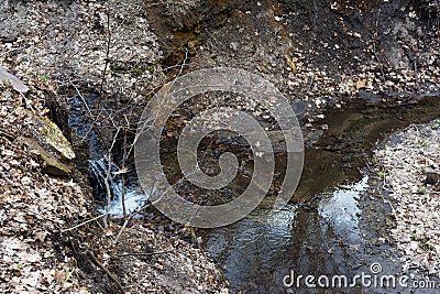 Stream in the ravine. Natural spring in the wild forest. Stock Photo