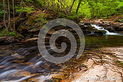 Stream in Ricketts Glen State Park Stock Photo