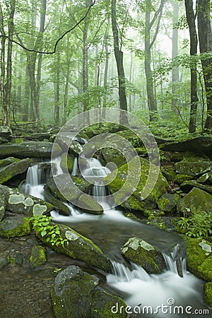 Stream, Spring Landscape, Great Smoky Mtns NP Stock Photo