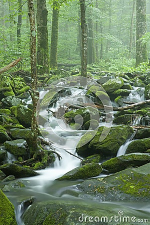 Stream, Spring Landscape, Great Smoky Mtns NP Stock Photo