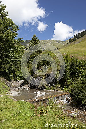 Stream in the Swiss mountains during summer Stock Photo