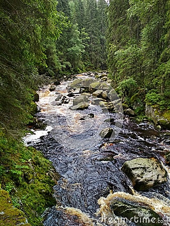 Stream of the Vydra river surrounded by forrest in the valley in Sumava mountains Stock Photo