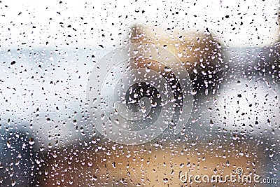 Stream of water in heavy rain. Raindrops on window pane Stock Photo