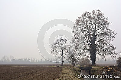 Stream of water that leads to a group of trees and a small bridge on a foggy day in the italian countryside Stock Photo