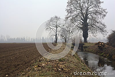 Stream of water that leads to a group of trees and a small bridge on a foggy day in the italian countryside Stock Photo