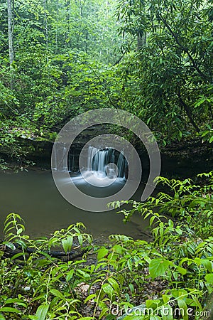 Stream & Waterfalls, Greenbrier, Great Smoky Mountains NP Stock Photo