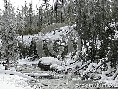 Stream in Yellowstone NP Stock Photo