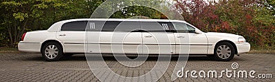 Strech limousine in white Stock Photo