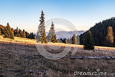 Stredna polana bellow Velky Choc hill with Nizke Tatry mountains on the background in Slovakia Stock Photo