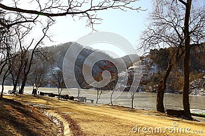 Street along a river in Namiseom Stock Photo