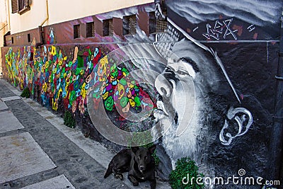 Street Art Valparaiso Editorial Stock Photo