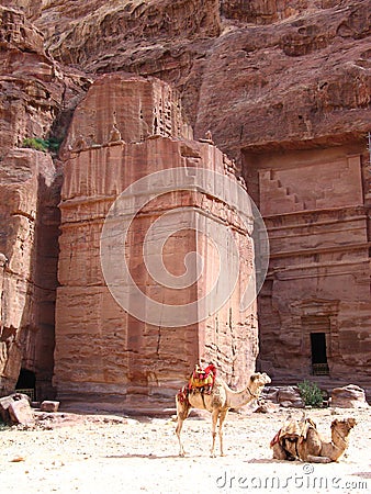 Street of Facades in Petra Stock Photo