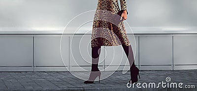 Street fashion concept - stylish elegant woman in leopard dress Stock Photo