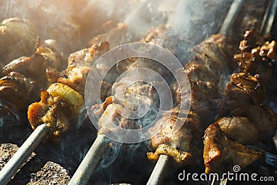 Street fast food festival, beef and chicken kebab at grill Stock Photo