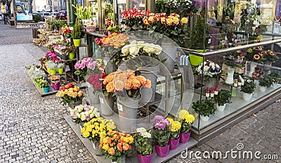 Street florist stall with roses and asters display. Editorial Stock Photo