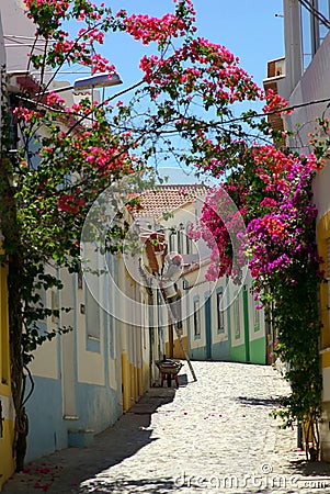 Street With Flowers Stock Photo