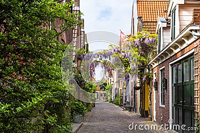 The street of flowers in Alkmaar Stock Photo