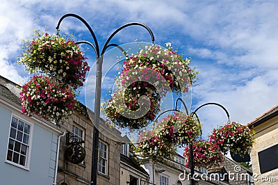 Street flowers, Truro Stock Photo