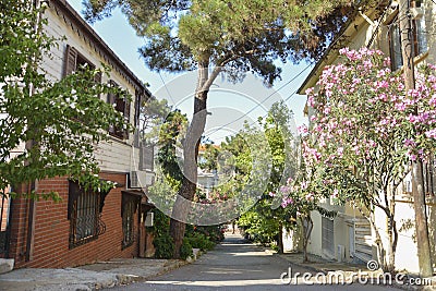 Street In Heybeliada, Istanbul, Turkey Stock Photo