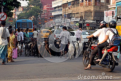 Street Of Kolkata Editorial Stock Photo