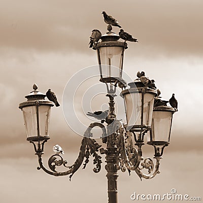 Street lamp with the pigeons in Venice Stock Photo