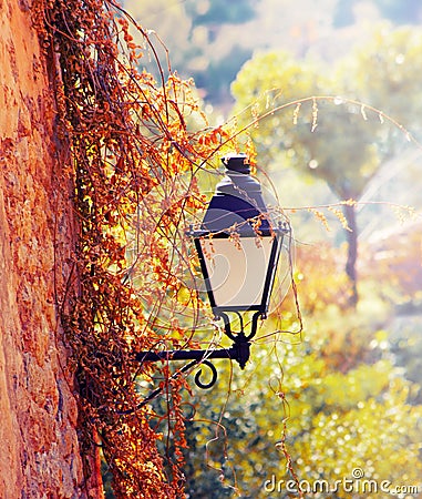 Street lantern with flowers Stock Photo