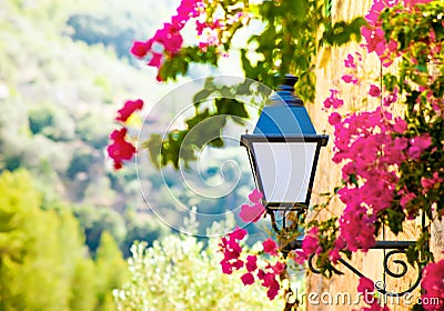 Street lantern with flowers Stock Photo