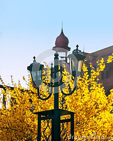 Street lantern on a yellow bush background. Stock Photo