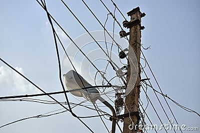 Street light Stock Photo