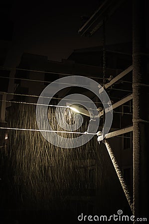 Street Light Pole Under The Snowing Night Stock Photo