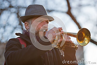 Street musician plays music Stock Photo