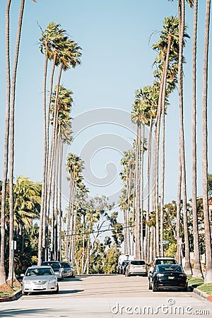 Street with palm trees in Corona del Mar, Newport Beach, California Editorial Stock Photo