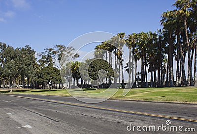 Street and palms along San Diego Coastline Stock Photo