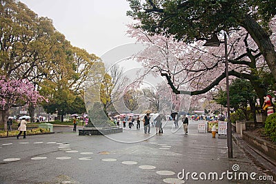 The street the park before Ueno zoo Editorial Stock Photo