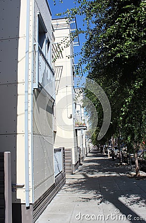 Modern street of San Francisco, California, United Staite of America. Residential houses. Stock Photo