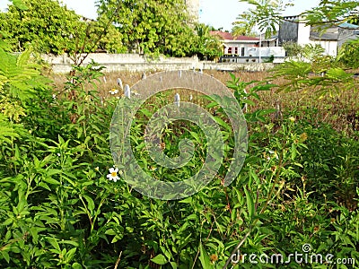 Street scenes of maldivian town on Huraa island Editorial Stock Photo