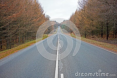 Street, trees and clouds in sky with overcast weather for trip, journey or travel on highway in fall. Environment Stock Photo