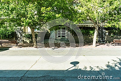 Street with trees and houses in summer Stock Photo