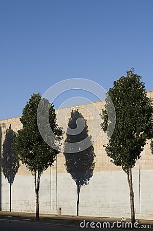 Street trees outside factory wall Stock Photo